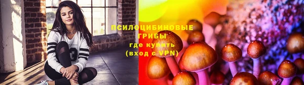 эйфоретик Абинск