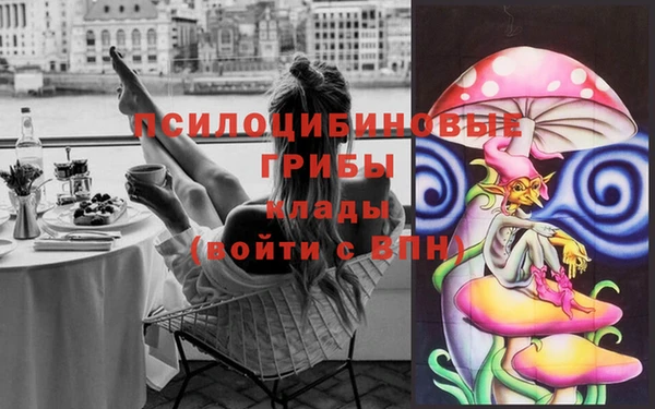 эйфоретик Абинск