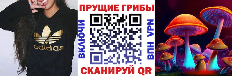 Псилоцибиновые грибы Cubensis  Архангельск 